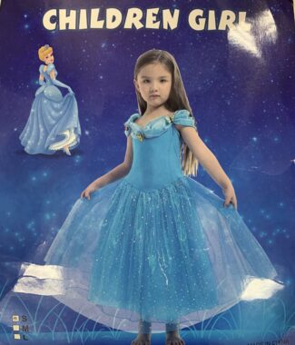 Cinderella Costume