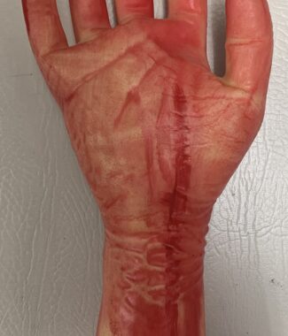 Short Bloody Hand (Halloween)