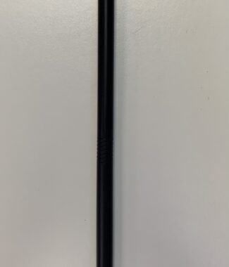 Skull Walking Stick