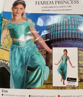 Harem Princess Jasmine