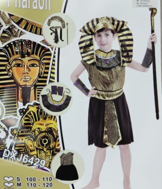 Egyptian Boy Deluxe