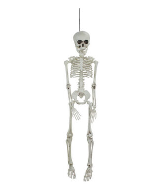 Hanging Skeleton