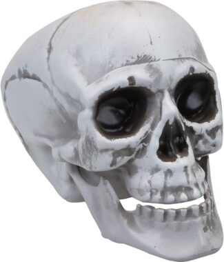 Halloween Skull